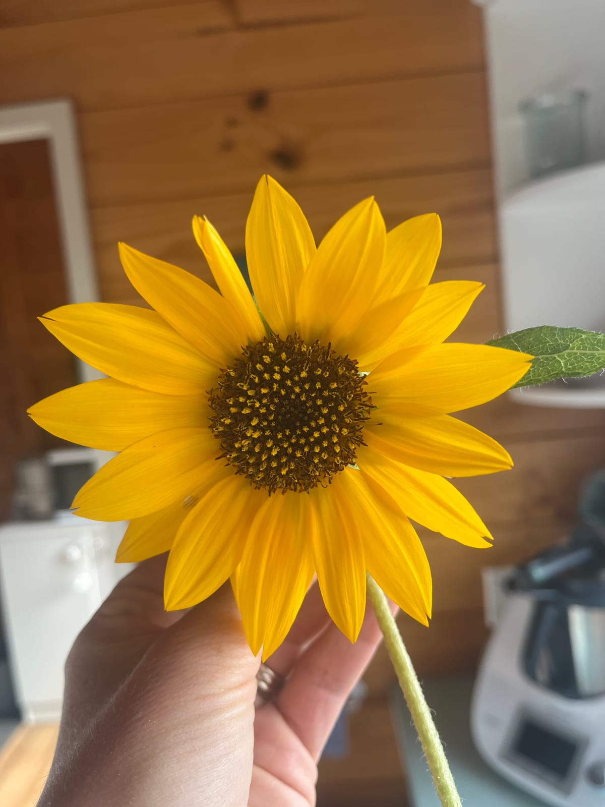 Goodbye '25 👋🏼 Hello '26 ✨