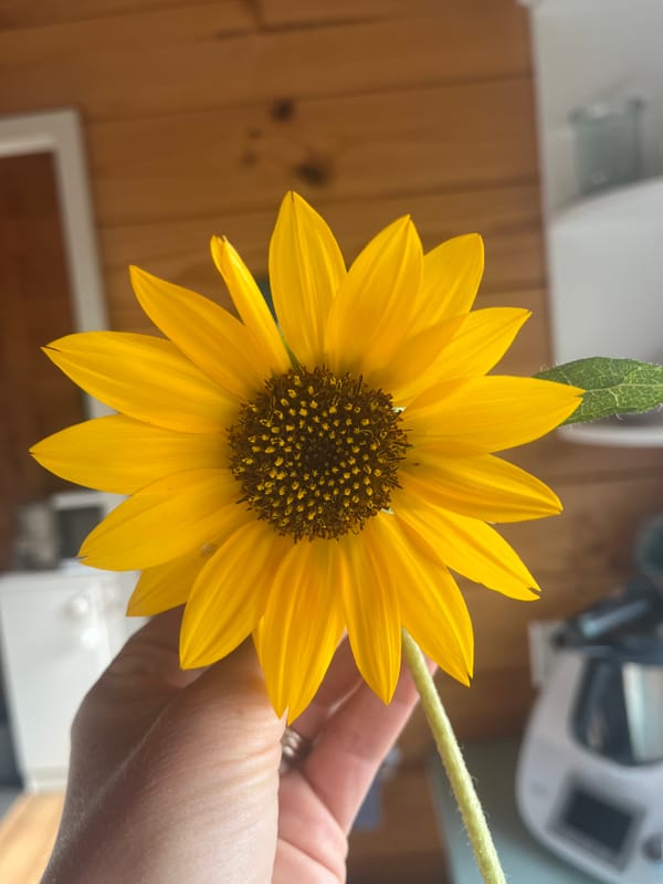 Goodbye '25 👋🏼 Hello '26 ✨